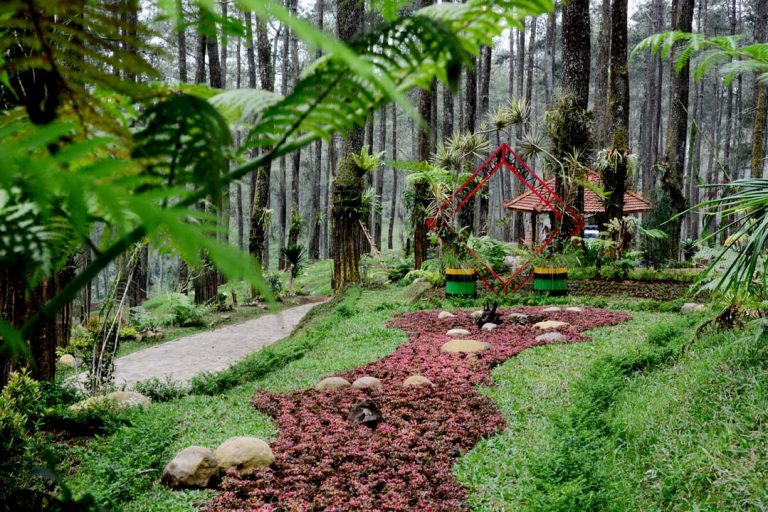 44+ Tempat Wisata Di Bandung Orchid Forest
 PNG