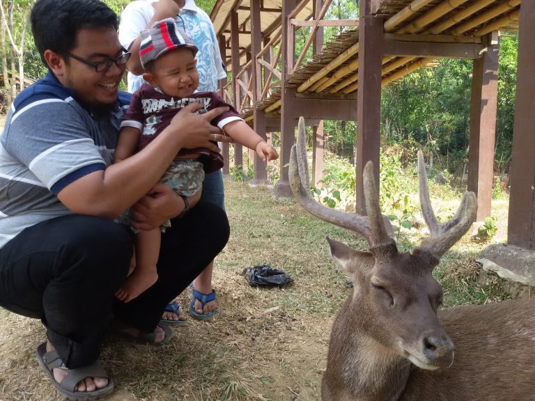 Download Tempat Wisata Di Bogor Untuk Anak Balita
 Background