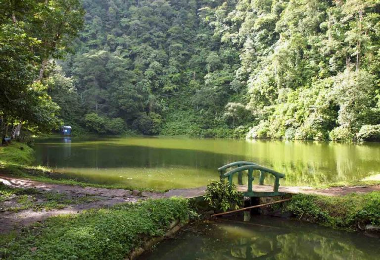 45+ Tempat Wisata Alam Di Bogor
 Pics