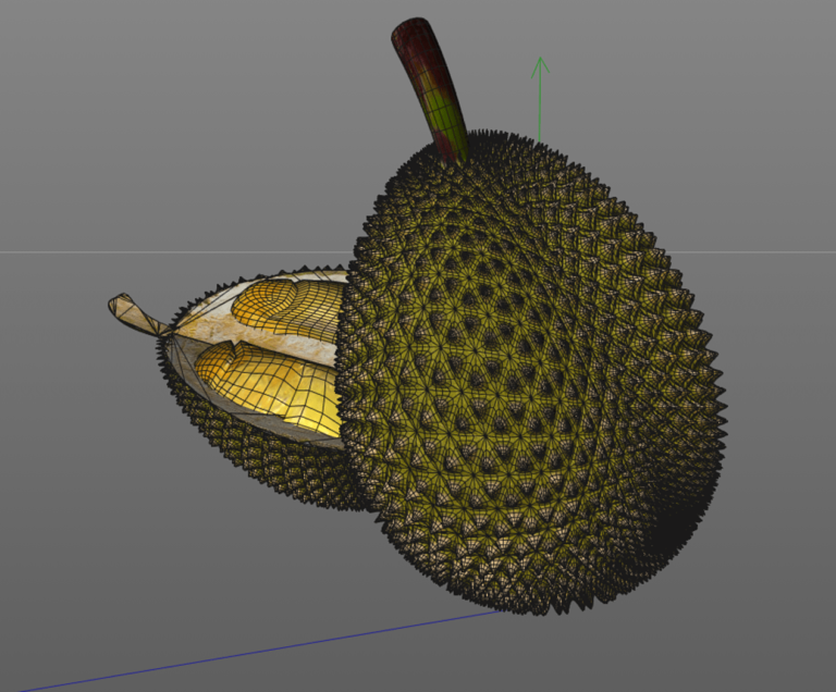 22+ Durian 2D 3D 4D PNG