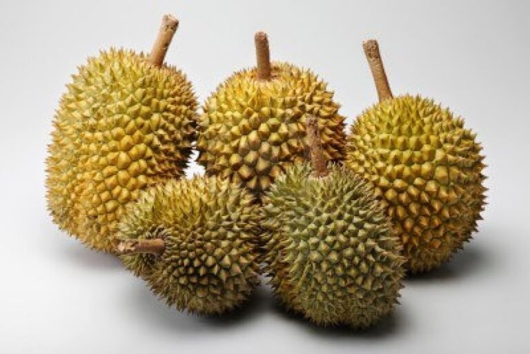 21+ Gambar Buah Durian Aneh Images